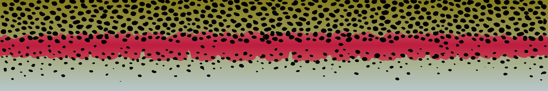 Rainbow Trout