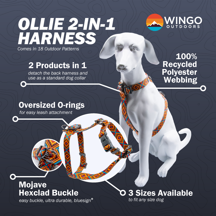 Ollie 2-in-1 Dog Harness