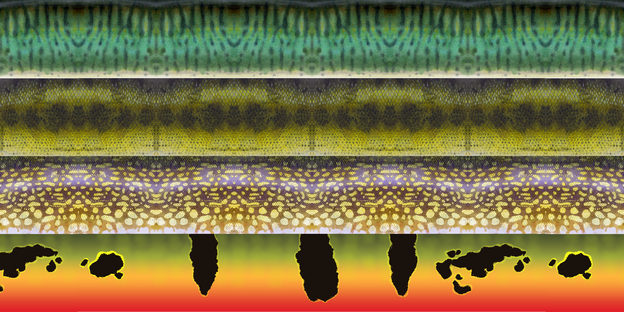 predator fly gear collaboration