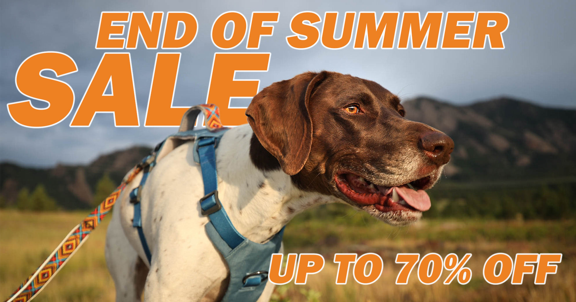 A dog wearing a blue harness outdoors with mountains in the background, overlaid with large sale text reading 'END OF SUMMER SALE' and 'UP TO 70% OFF'.