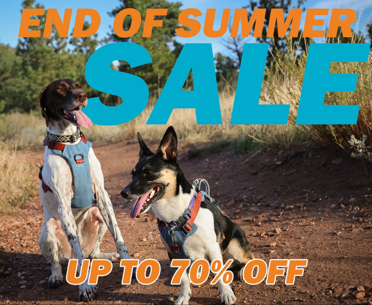 promotional header "end of summer sale" and "up to 70 percent off" with two dogs in harnesses on the trail. 