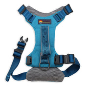Blue dog harness with gray padding and Wingo Outdoors logo on a white background