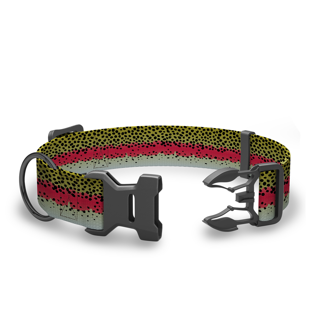 Coosa Dog Collar