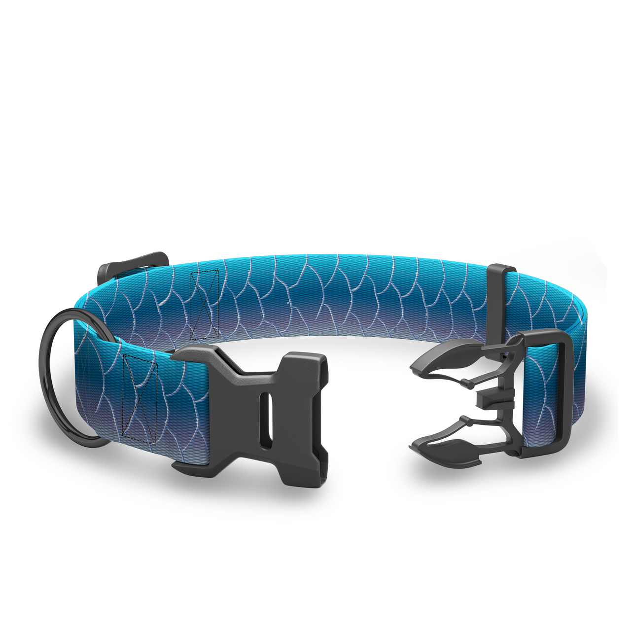 Coosa Dog Collar