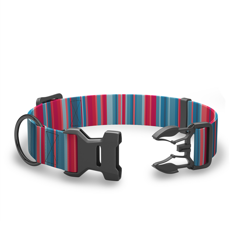 Dog Collars