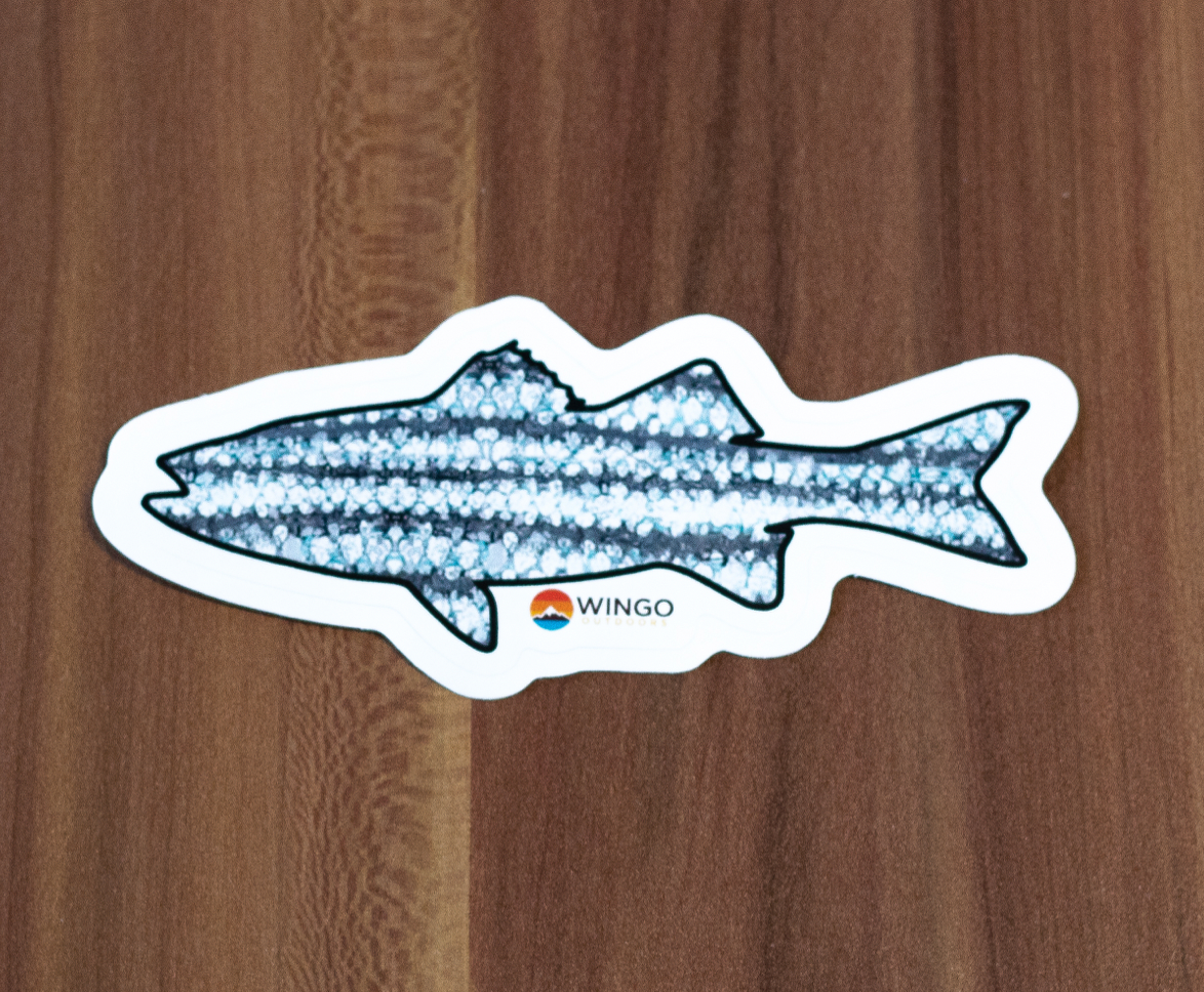 Wingo Outdoors Fish Decal Pack
