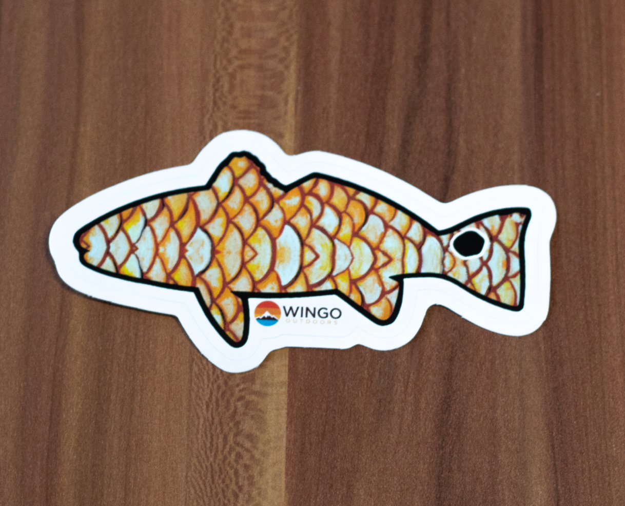 Wingo Fish Skin Socks Tarpon | Avidmax