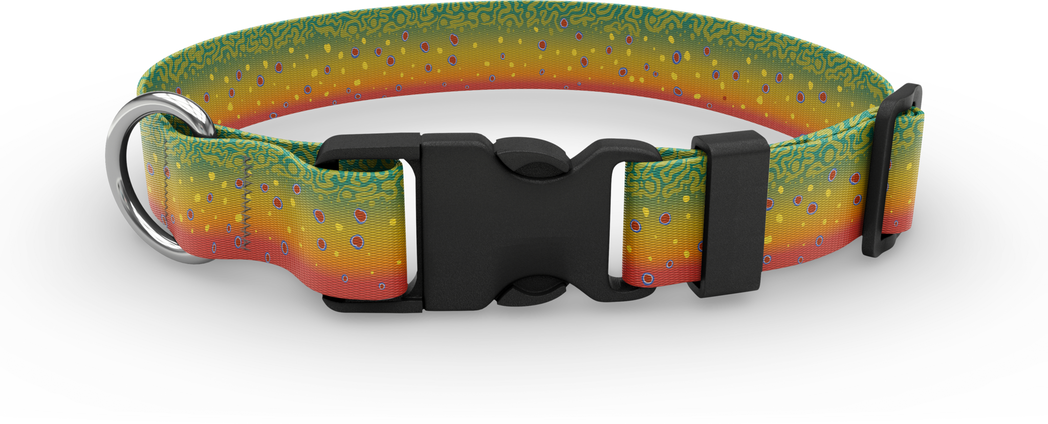 Brook trout 2025 dog collar