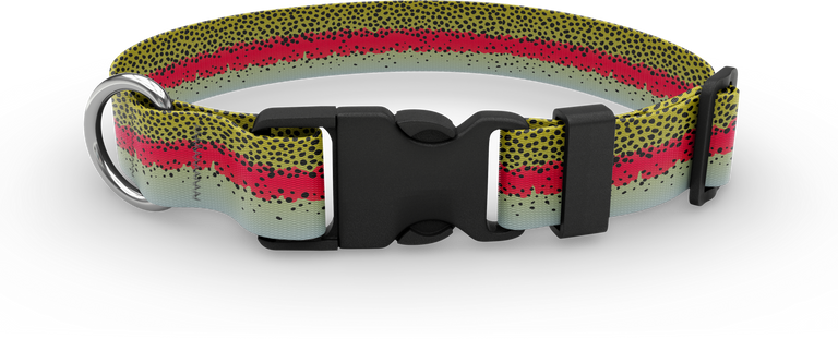Brook trout clearance dog collar