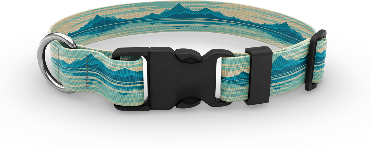 Dog Collar